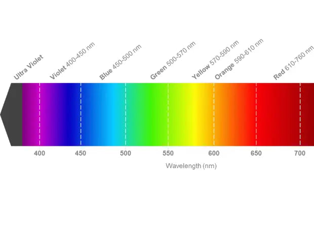 Green vs Red Laser Sight